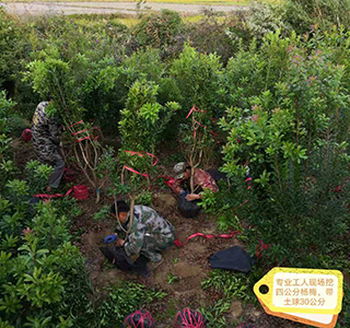 湖南森福木業有限公司,木結構別墅建造及制作,木涼亭建造及制作,木棧道建造及制作 湖南森福木業有限公司,木結構別墅建造及制作,木涼亭建造及制作,木棧道建造及制作